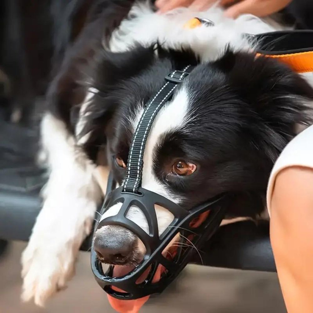 Gentle Soft Dog Muzzle for Comfortable Behavior Control
