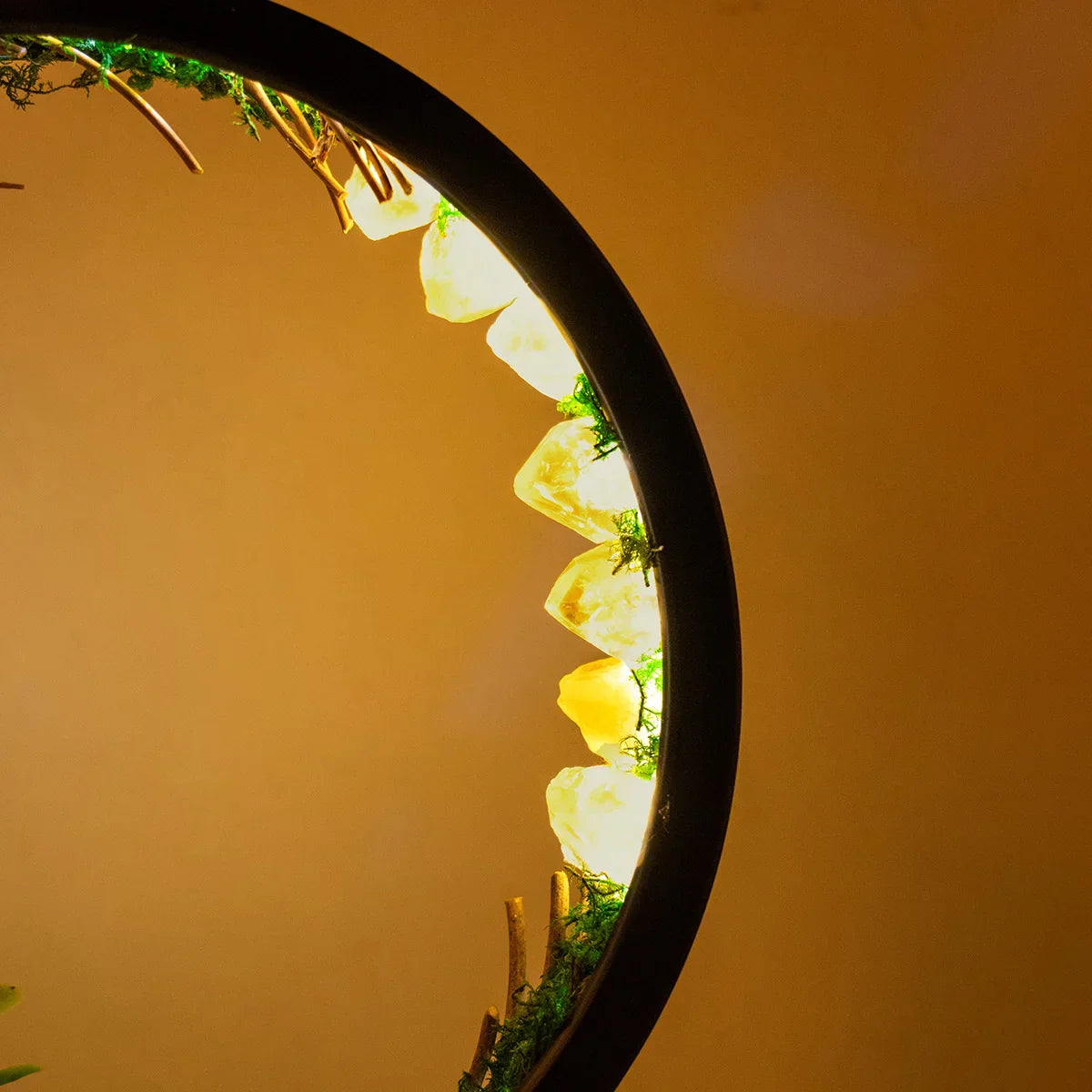 Eclipse of Enchantment LED Night Light with Crystals