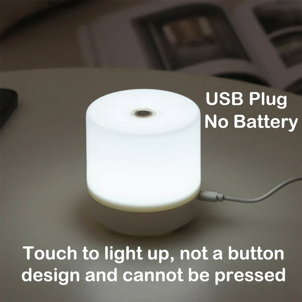 Touch Dimmable LED Nightstand Lamp with USB Power