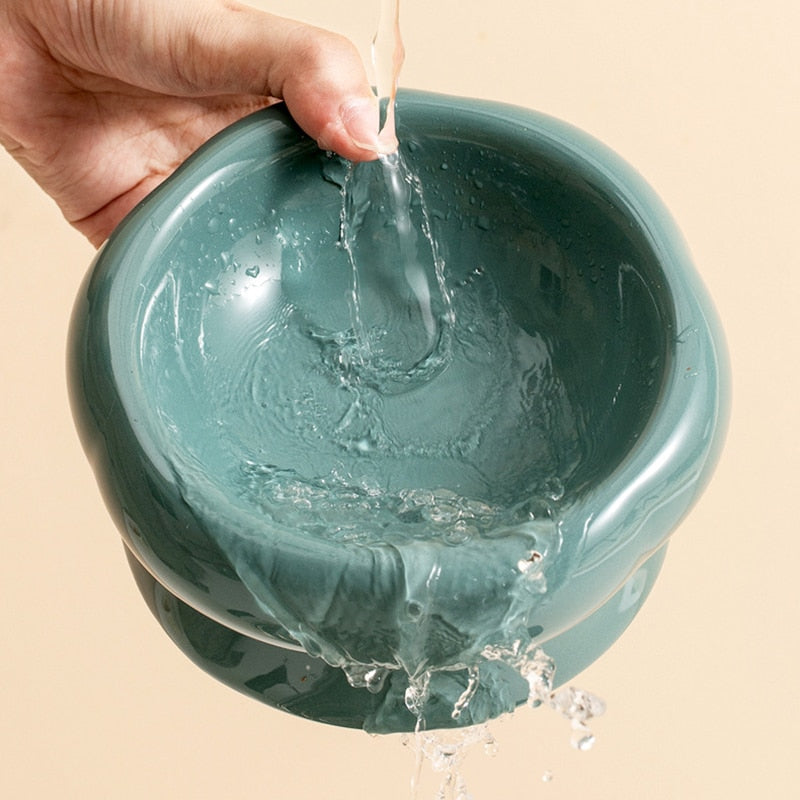 Ceramic Elevated Cat Bowls for Comfortable Feeding