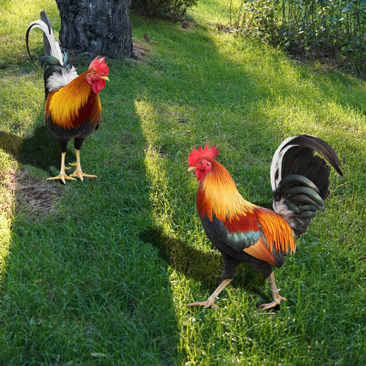 Acrylic Feathered Bird Garden Figure