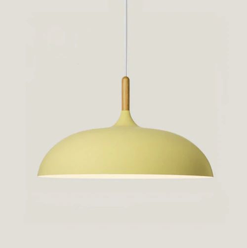 Pastel Metal and Wood Pendant Light with Adjustable Cord