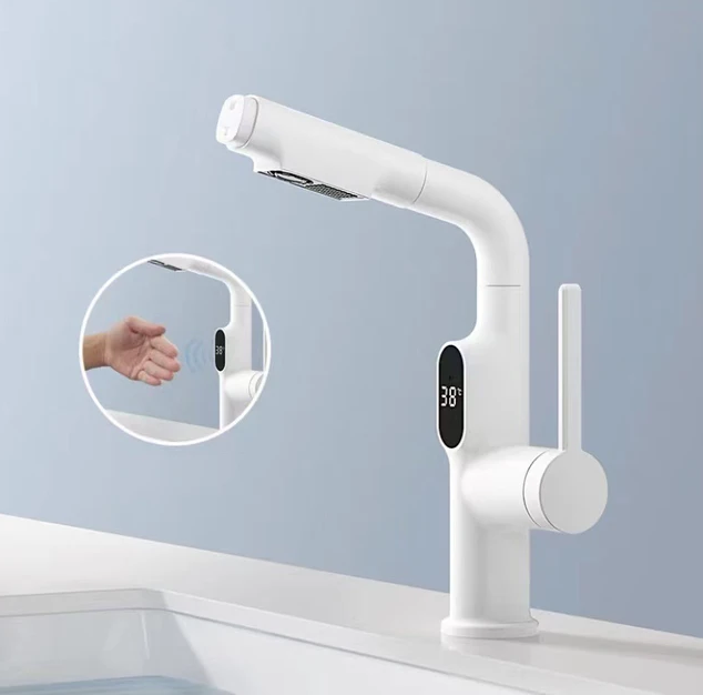Intelligent Pull-Out Kitchen Faucet with LED Temperature Display