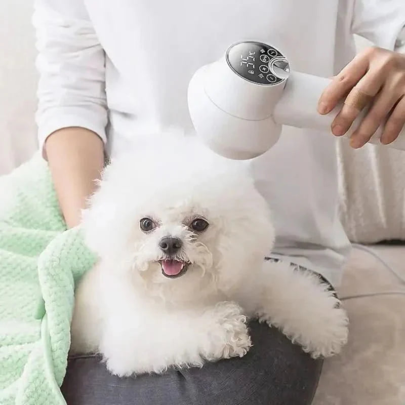 Gentle Grooming Dryer with Brush for Dogs and Cats