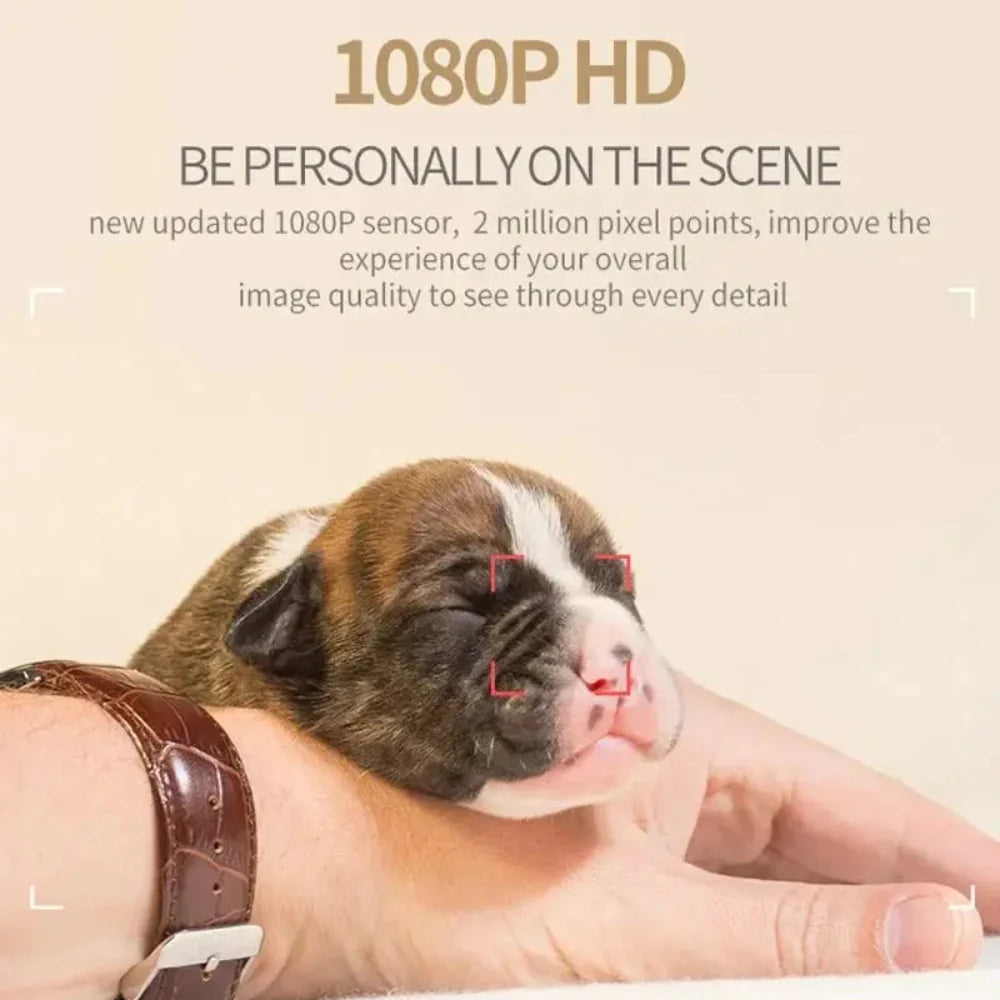 Mini Wireless 1080P Security Camera with Night Vision