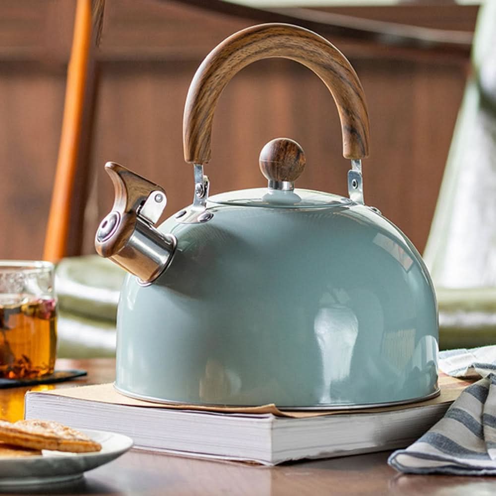 Stainless Steel Whistling Kettle with Ergonomic Handle, 3L