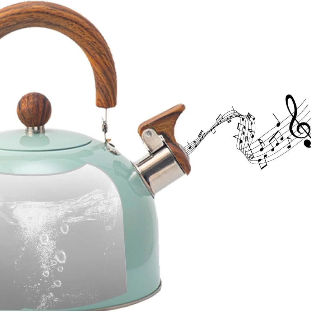 Stainless Steel Whistling Kettle with Ergonomic Handle, 3L