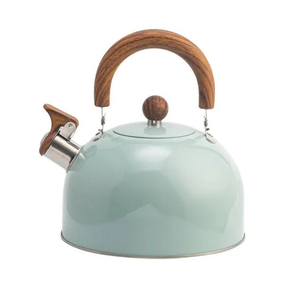 Stainless Steel Whistling Kettle with Ergonomic Handle, 3L