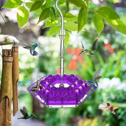 Hanging Hummingbird Feeder with Clear Nectar Reservoir