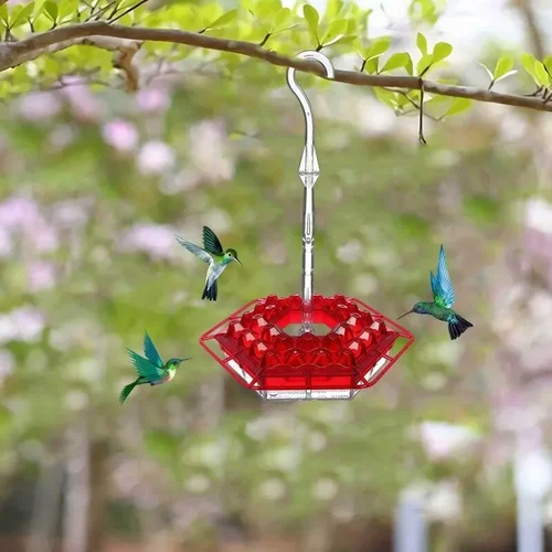 Hanging Hummingbird Feeder with Clear Nectar Reservoir