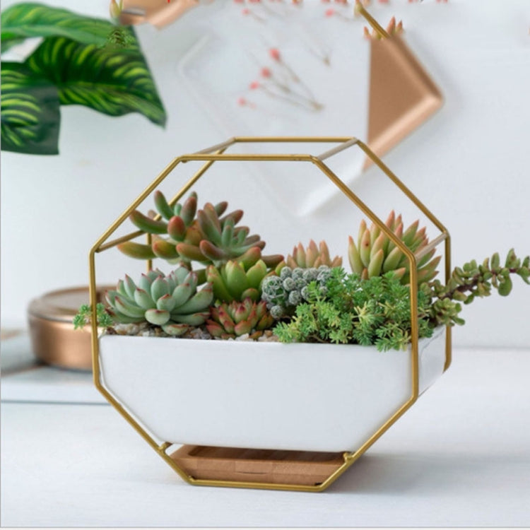 Octagonal Wall-Mounted Succulent Planter with Bamboo Support and Iron Frame