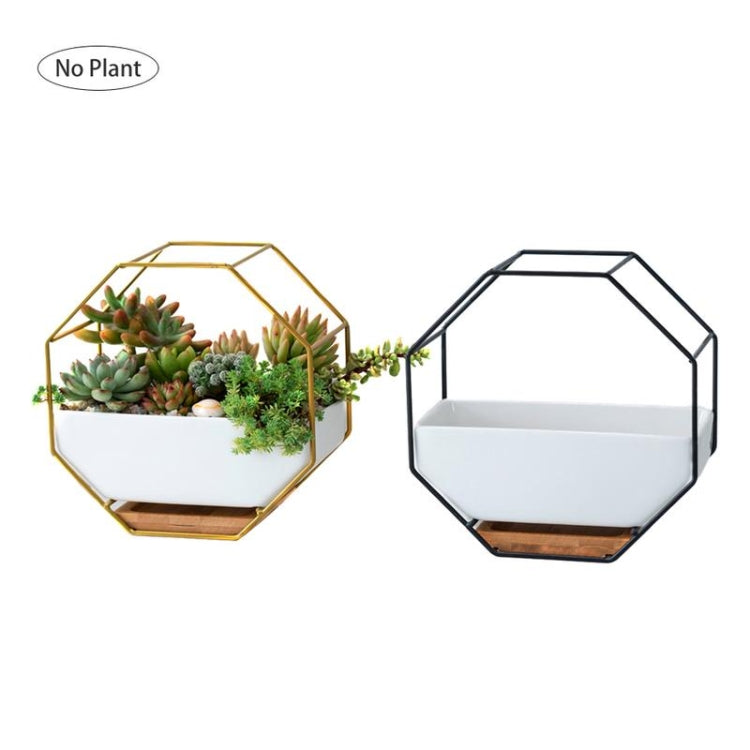 Octagonal Wall-Mounted Succulent Planter with Bamboo Support and Iron Frame