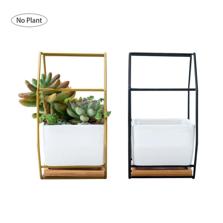 Octagonal Wall-Mounted Succulent Planter with Bamboo Support and Iron Frame