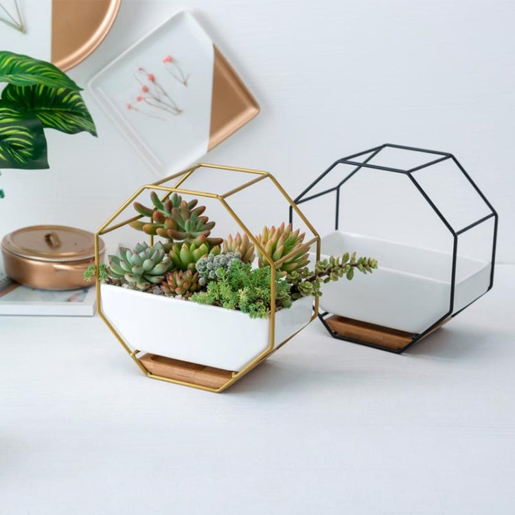 Octagonal Wall-Mounted Succulent Planter with Bamboo Support and Iron Frame