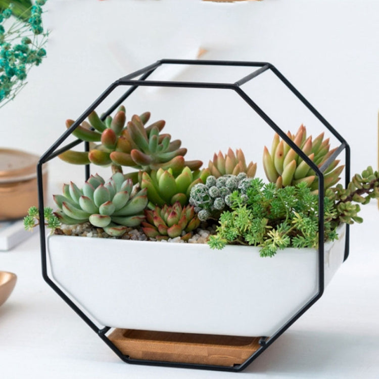 Octagonal Ceramic Wall Planter with Iron Frame and Bamboo Support