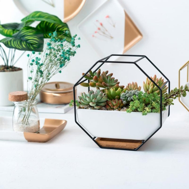 Octagonal Ceramic Wall Planter with Iron Frame and Bamboo Support