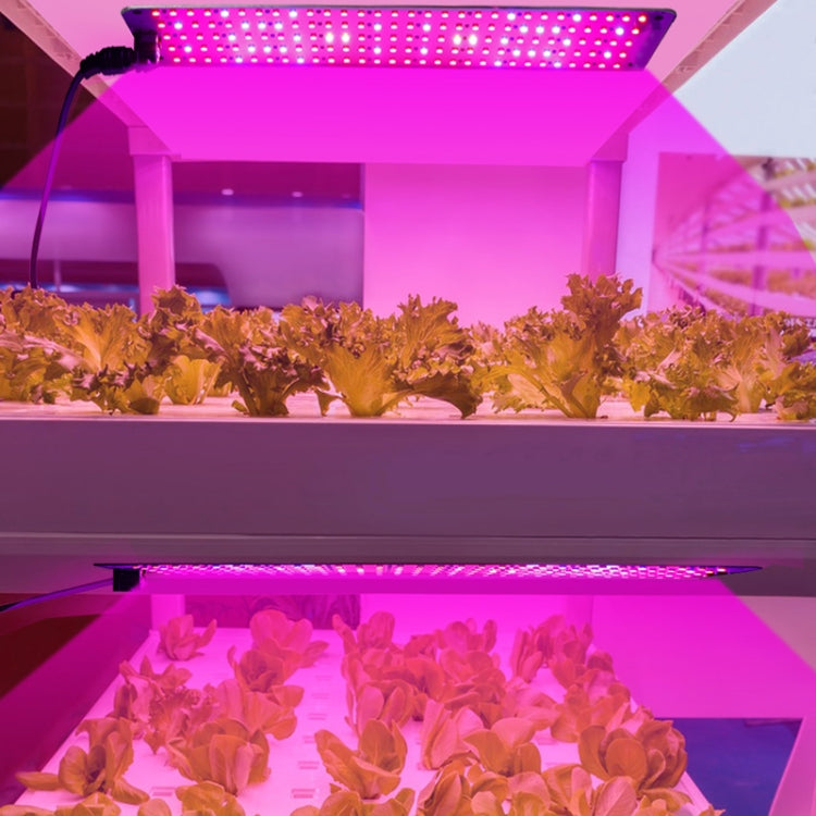 12V Full Spectrum Red and Blue LED Plant Growth Lamp with 4 Heads