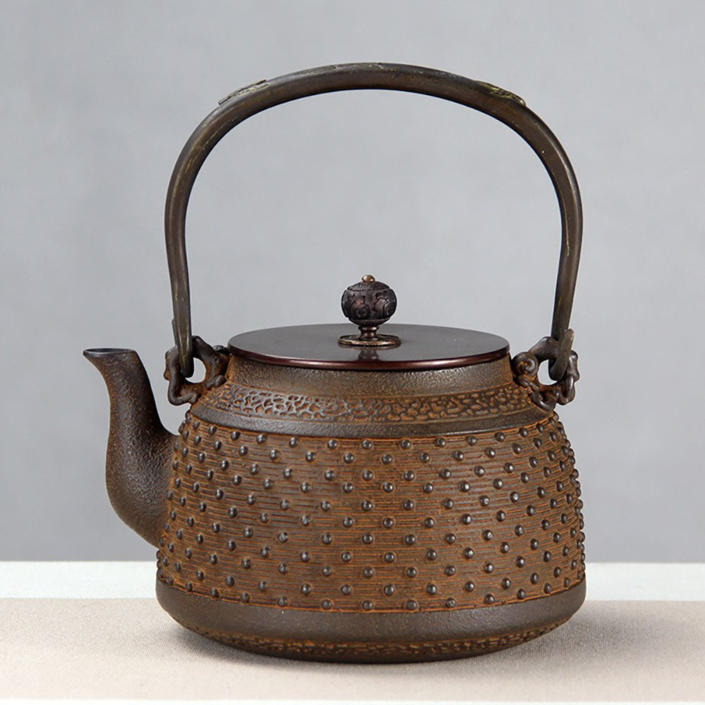 Japanese Cast Iron Teapot with Rivet Design