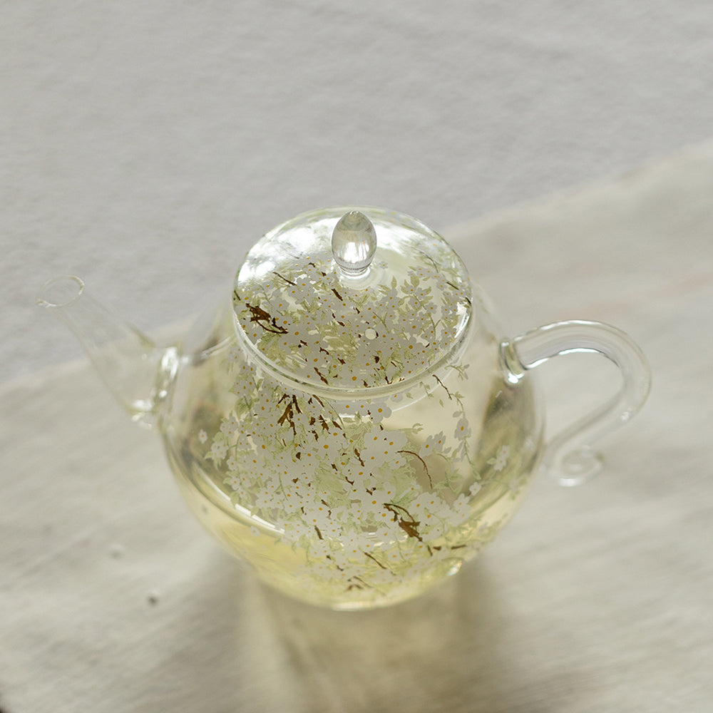 Spring Pear Blossom Borosilicate Glass Teapot 5.9 oz