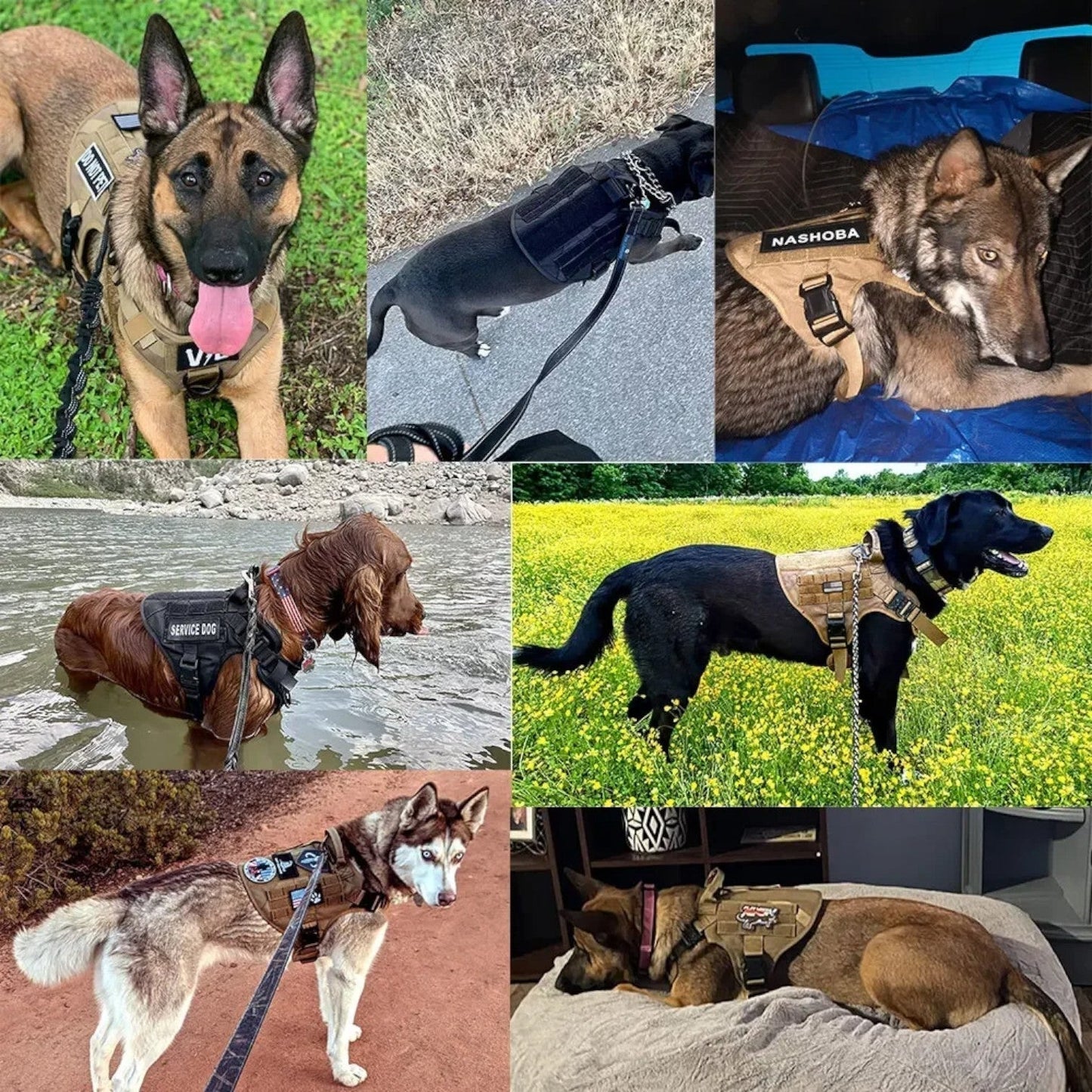 Adjustable Tactical Dog Harness with Control Handle and Breathable Padding