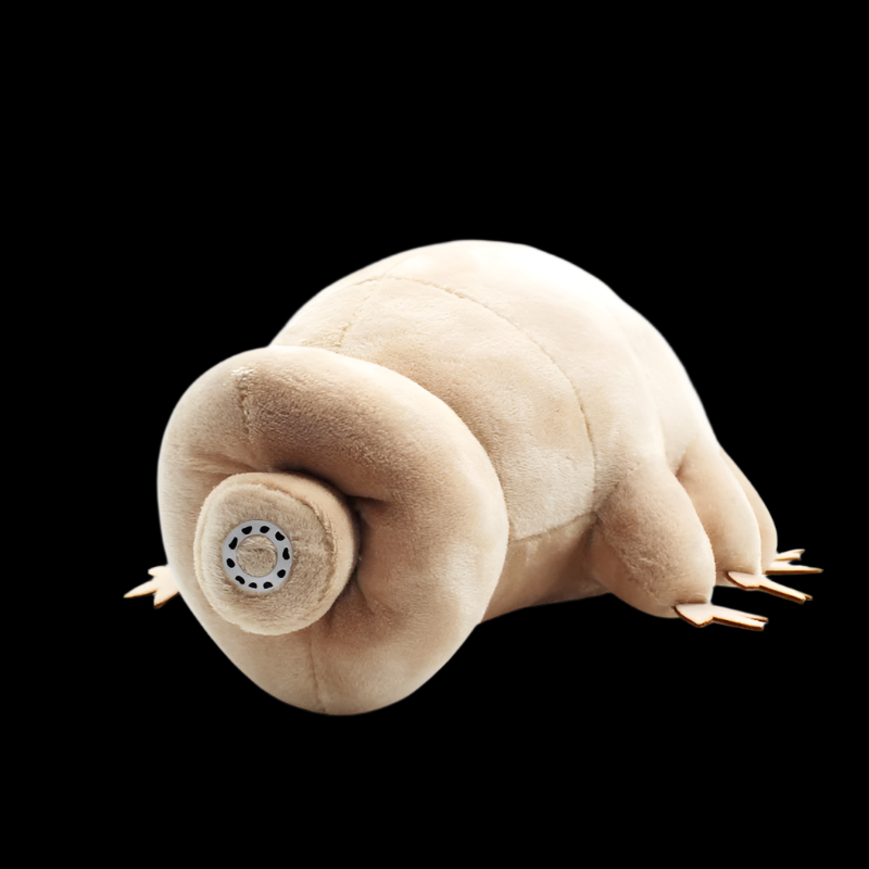 Tardigrade Water Bear Plush Toy - Soft Cotton Stuffed Animal