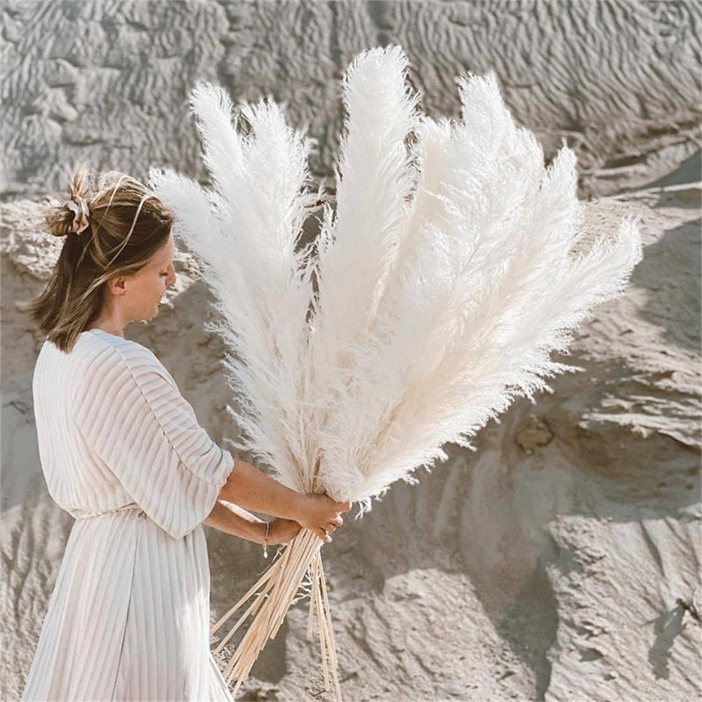 Dried Pampas Grass Flowers - Natural Boho Decor