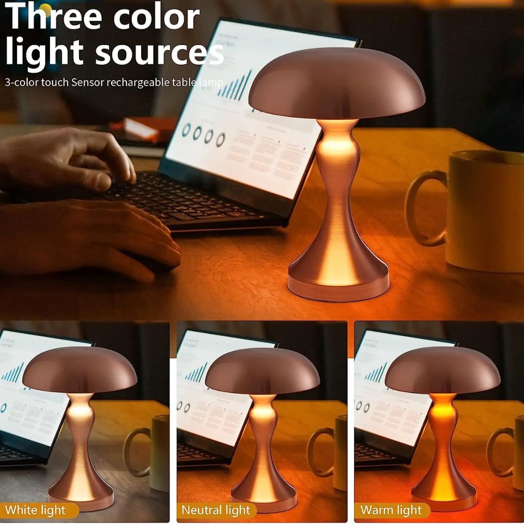 Rechargeable Touch Table Lamp with LED Illumination