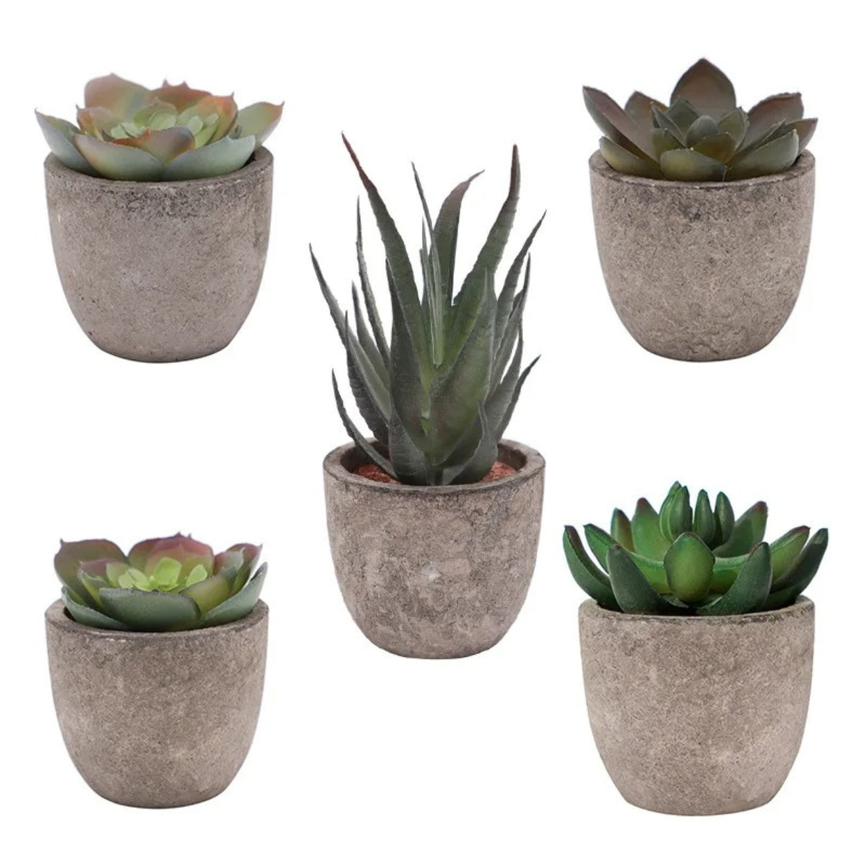 Realistic Artificial Succulent Plant in Rustic Stone Pot