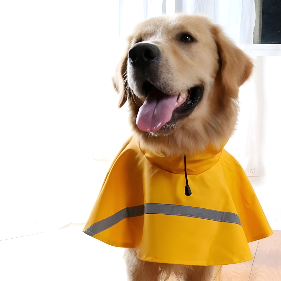 Waterproof Dog Rain Jacket with Reflective Tape
