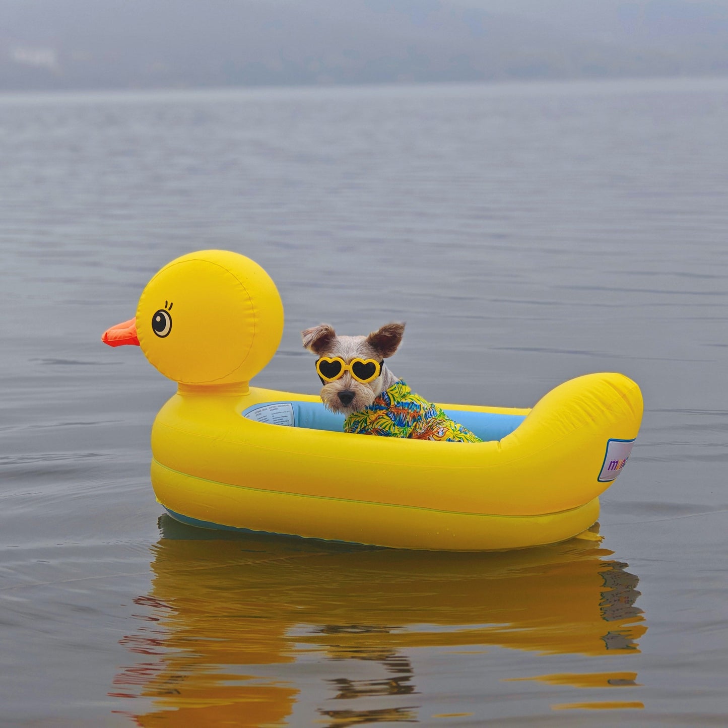 Inflatable Duck Floating Ring for Small Dogs