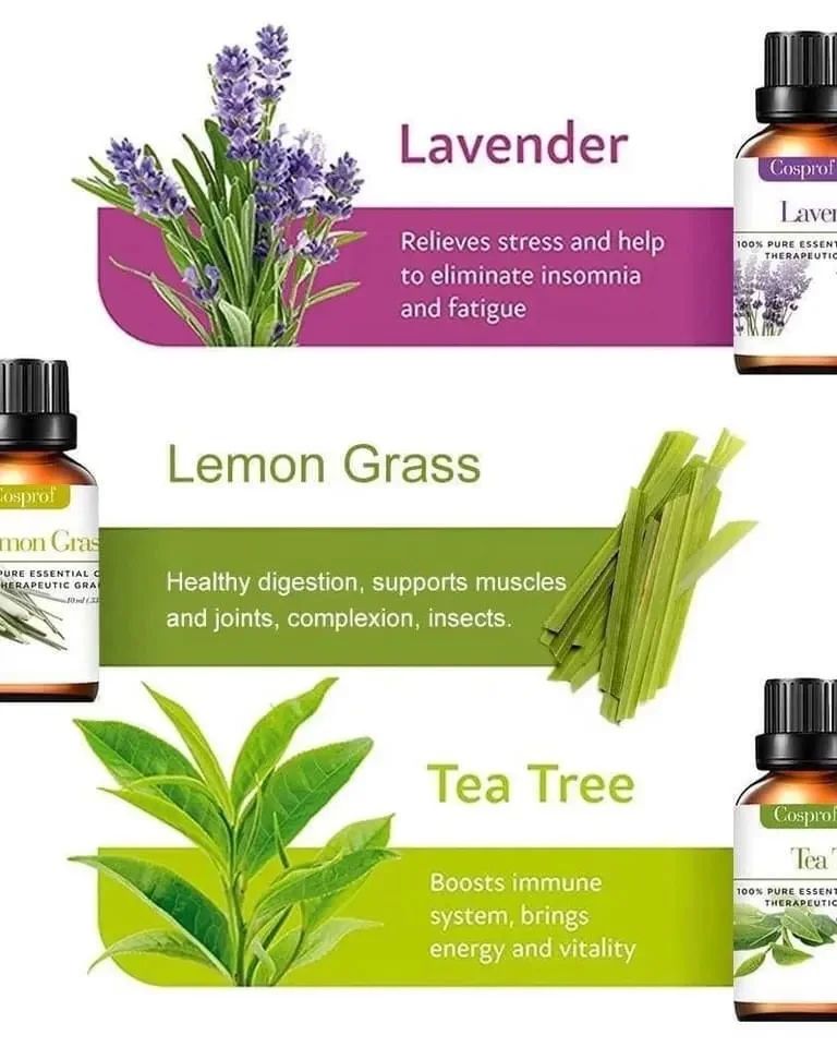 12 Essential Oils Gift Set for Aromatherapy and Home Use