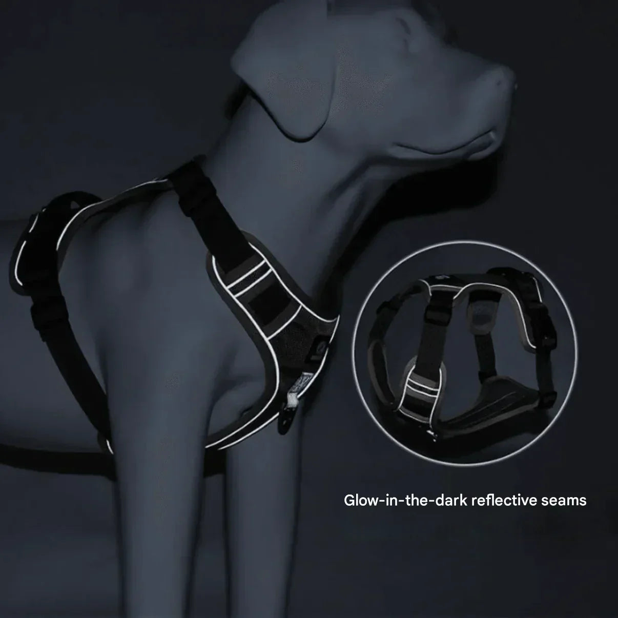 Comfort Padded No-Pull Dog Harness with Safety Handle