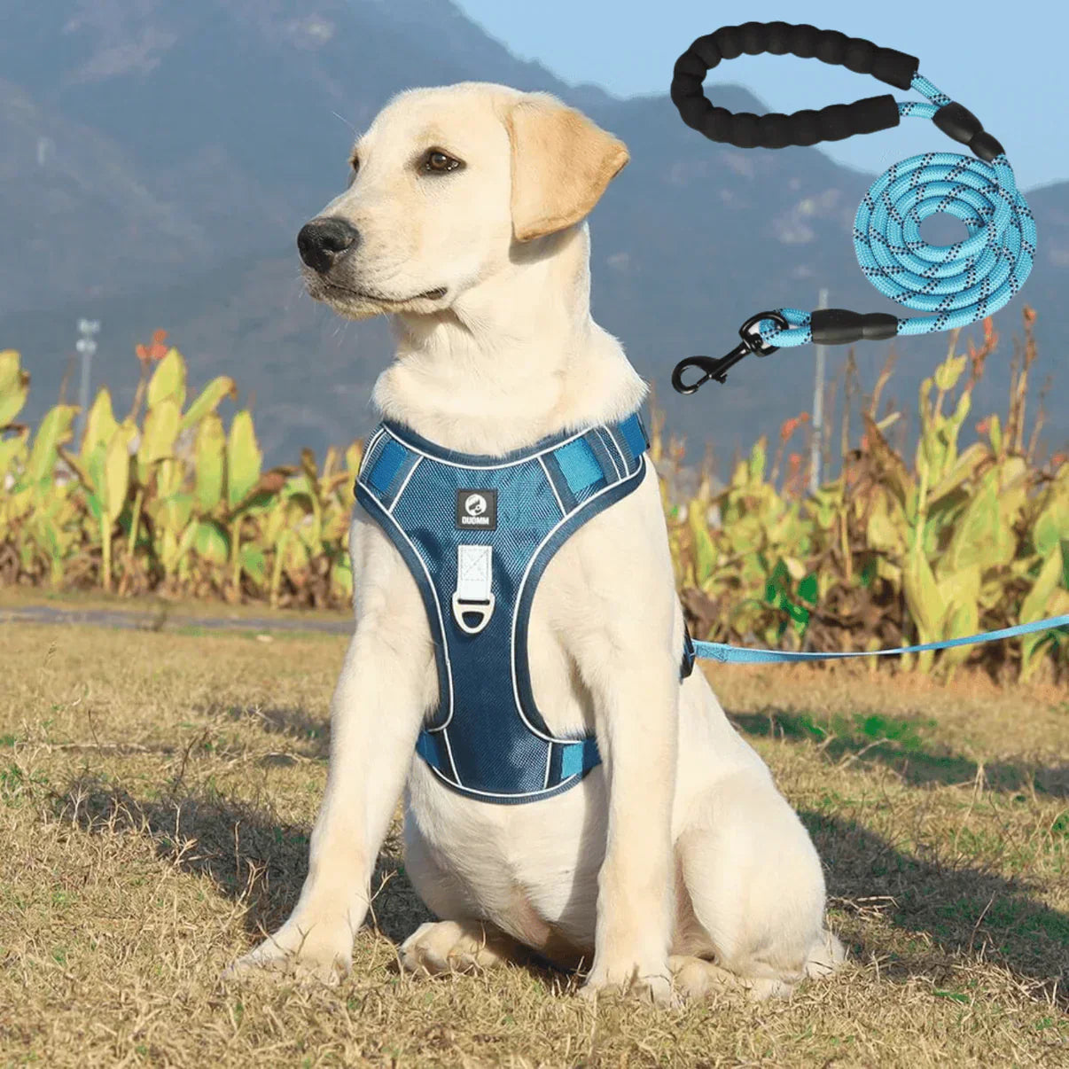 Comfort Padded No-Pull Dog Harness with Safety Handle