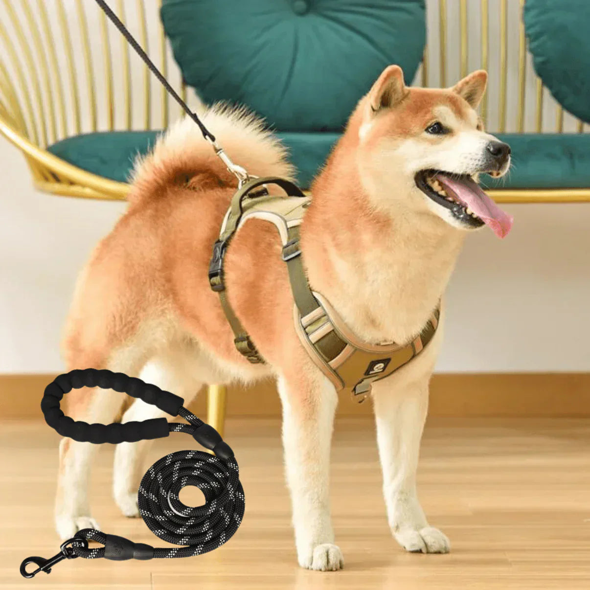 Comfort Padded No-Pull Dog Harness with Safety Handle