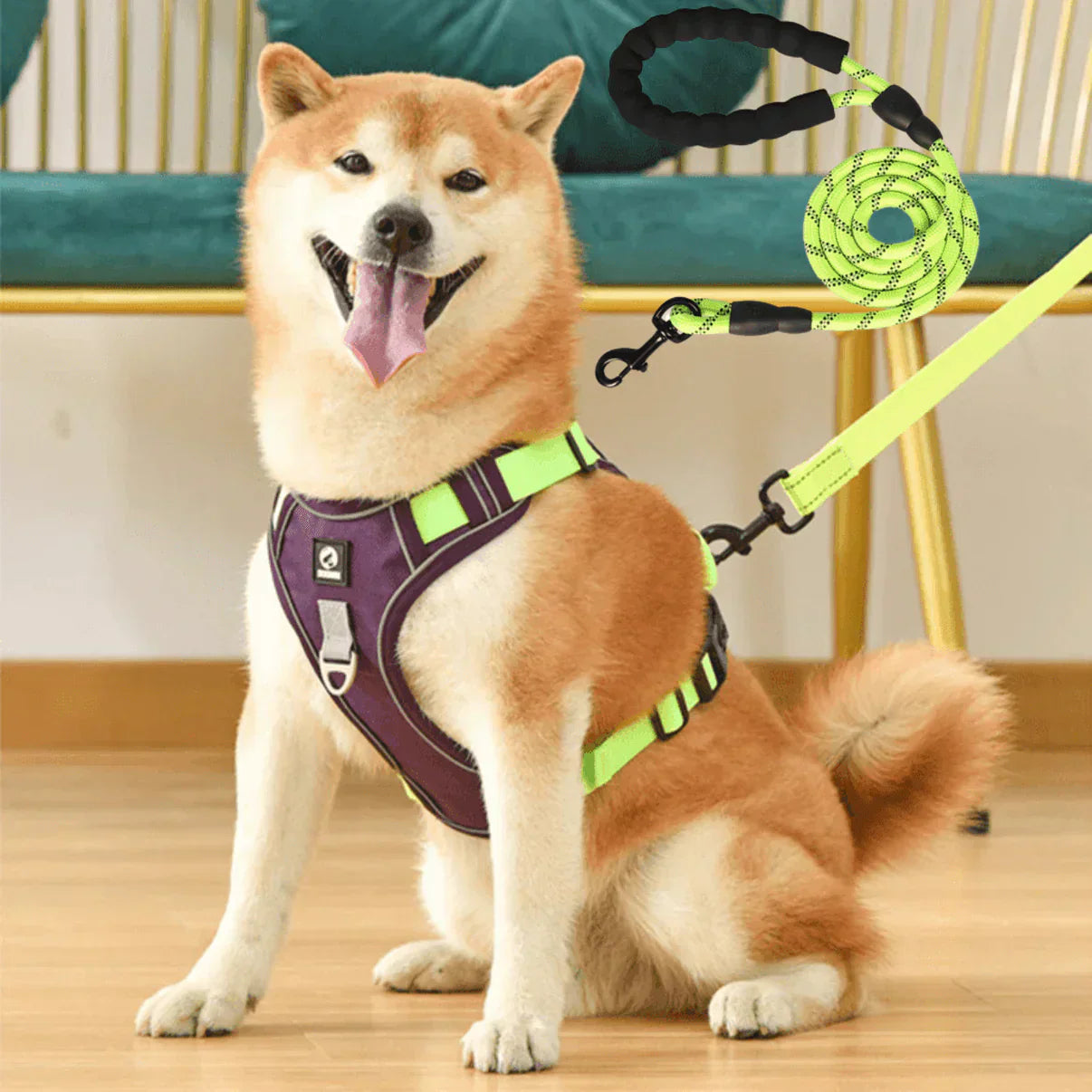 Comfort Padded No-Pull Dog Harness with Safety Handle