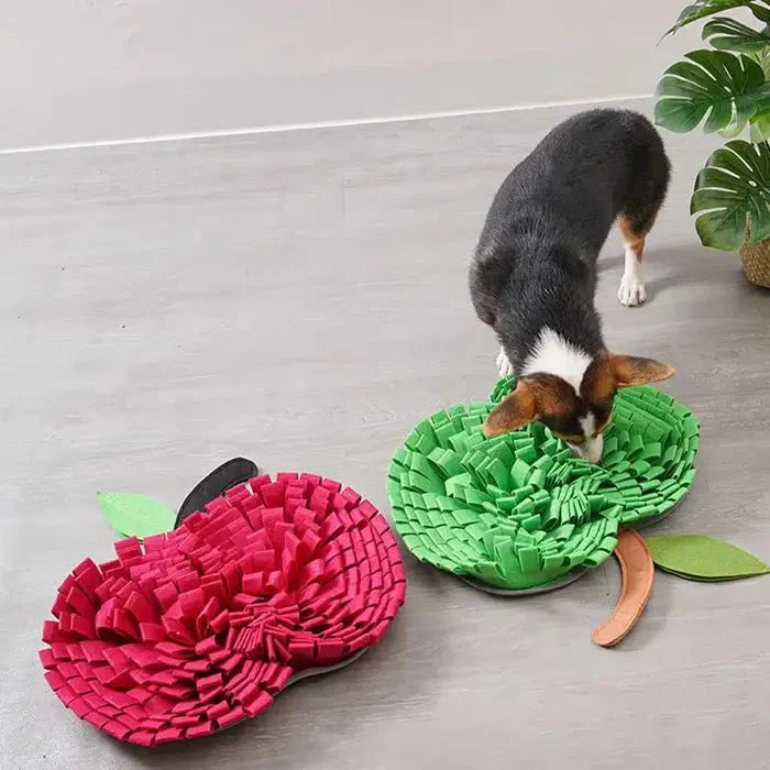 Interactive Dog Snuffle Mat for Cognitive Training and Slow Eating