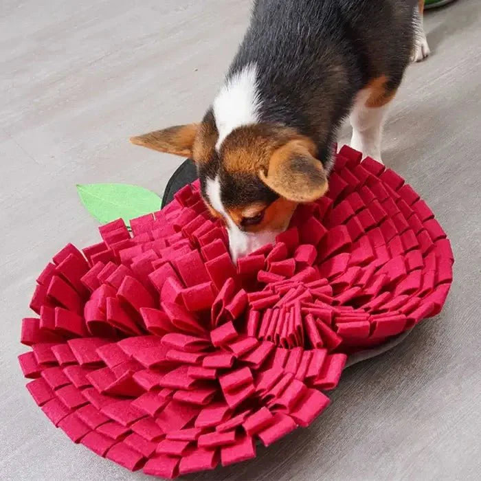 Interactive Dog Snuffle Mat for Cognitive Training and Slow Eating