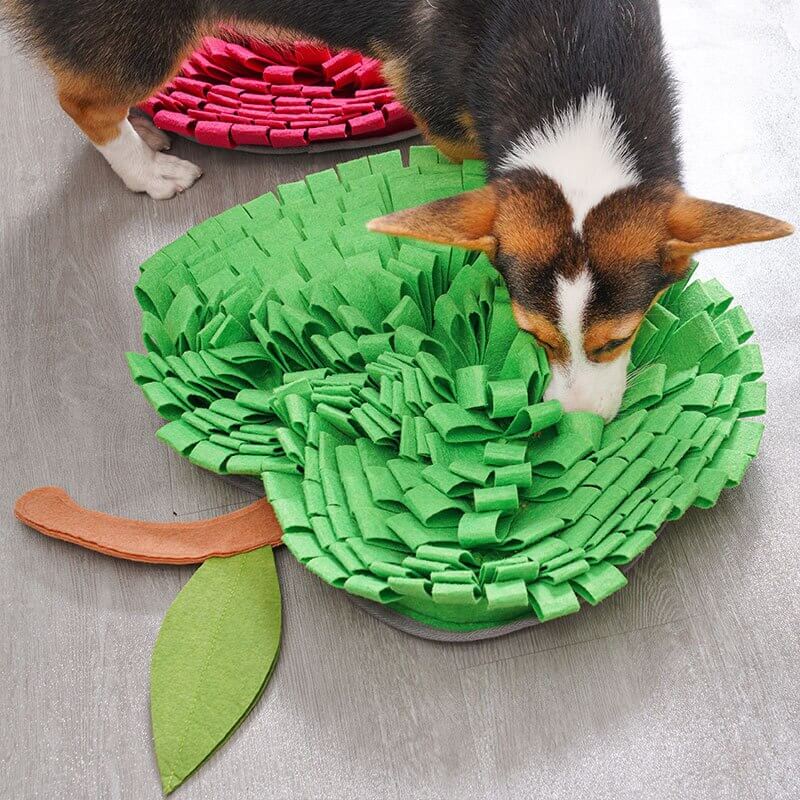 Interactive Dog Snuffle Mat for Cognitive Training and Slow Eating