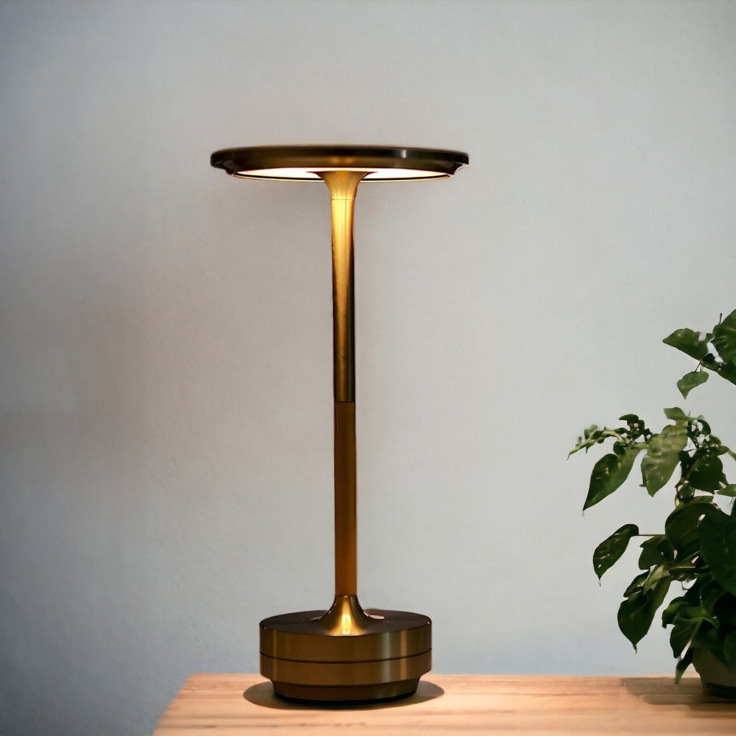 Cordless Rechargeable Touch Control Table Lamp with Dimmable LED and Stainless Steel Finish