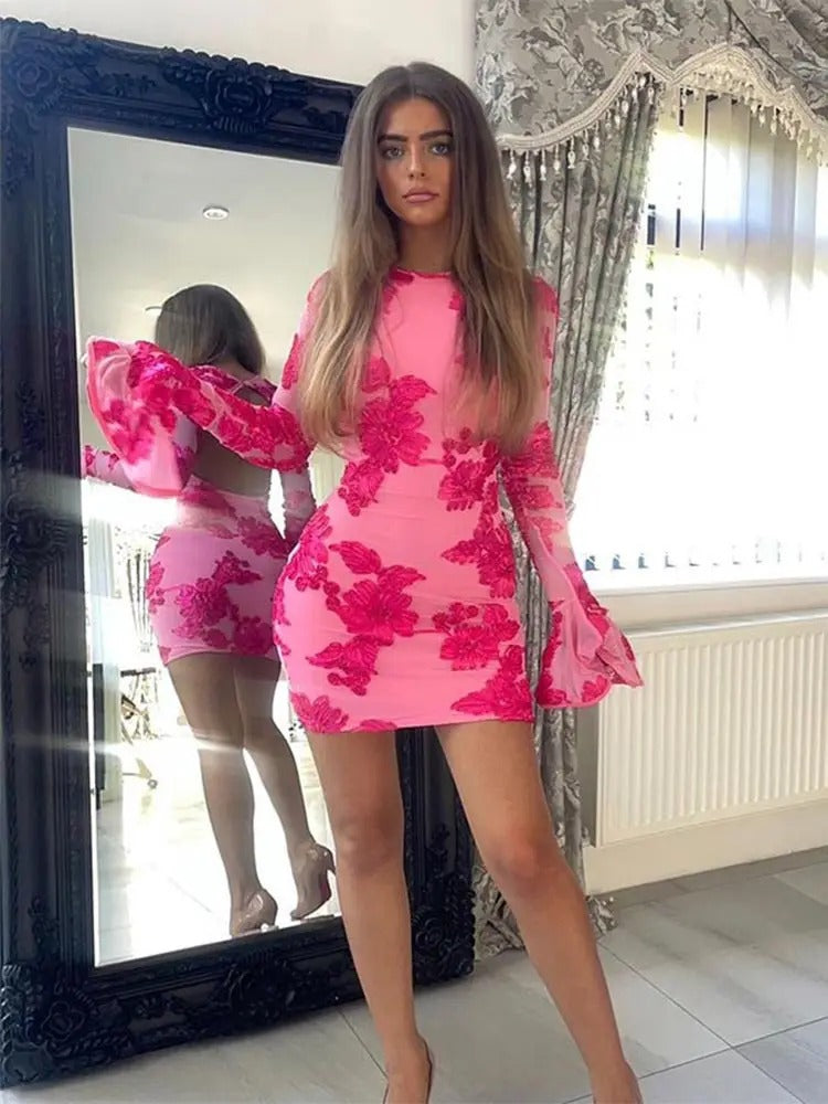 Embroidered Mesh Party Dress