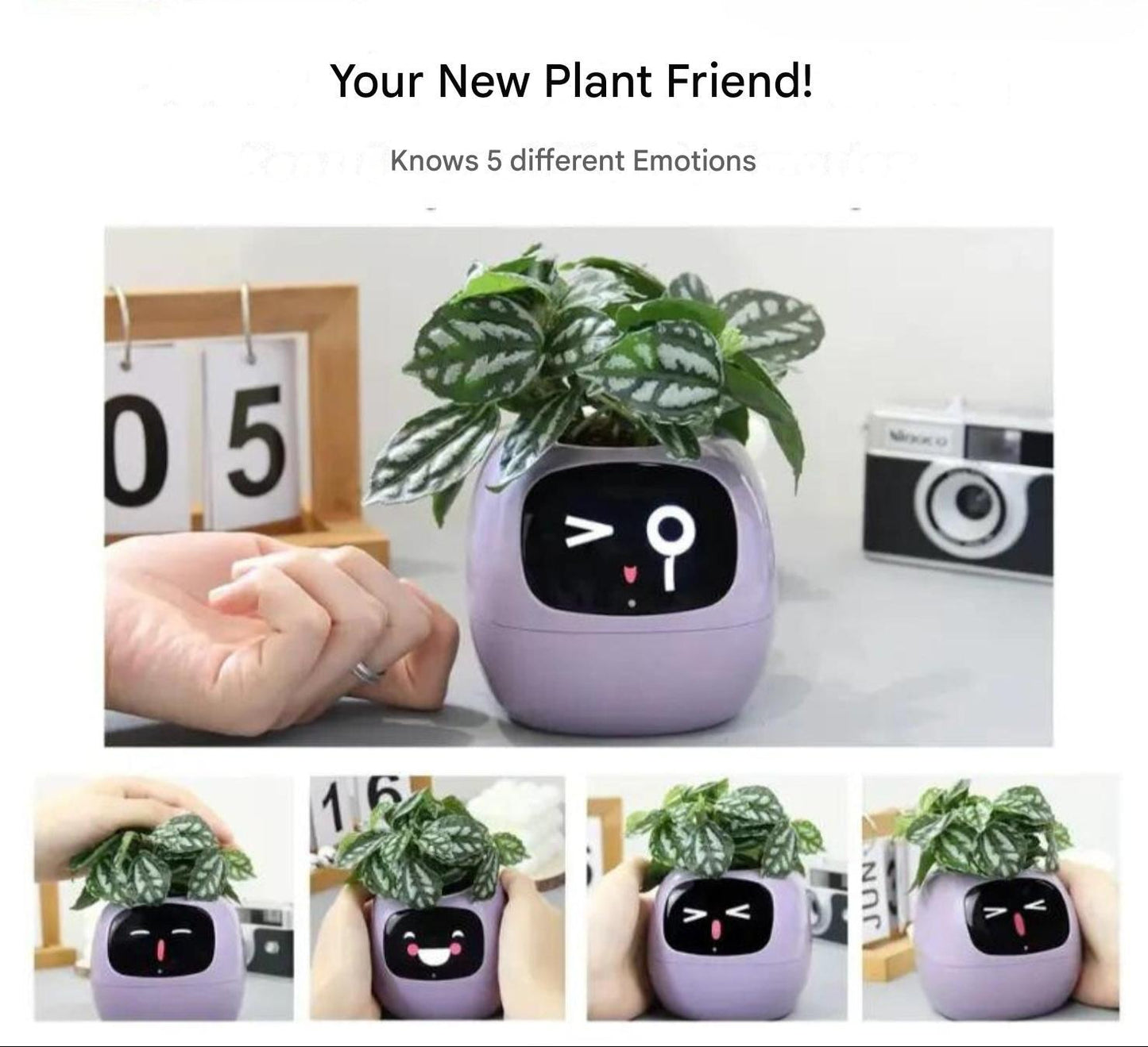Automatic Smart Flower Pot with App Integration and Emojis