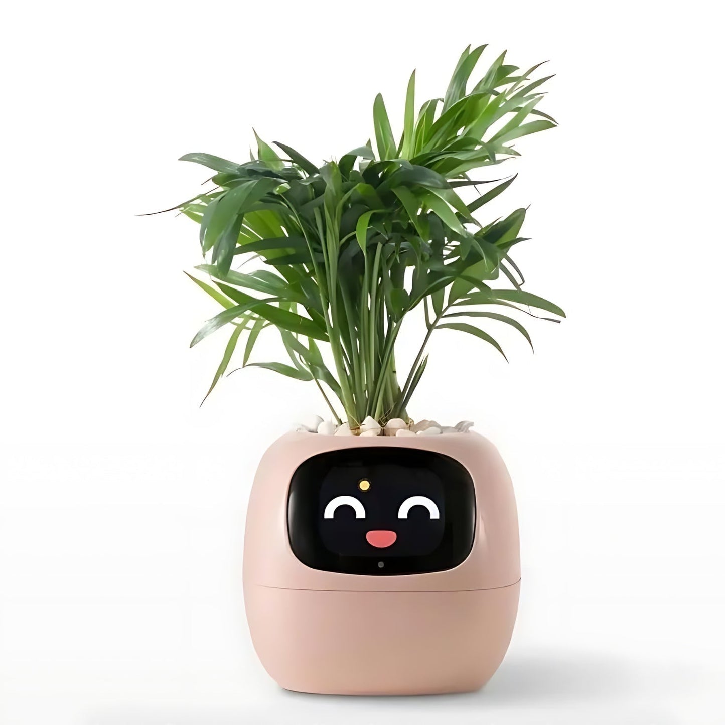 Automatic Smart Flower Pot with App Integration and Emojis