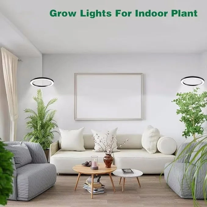 Full Spectrum Adjustable Grow Light for Indoor Plants