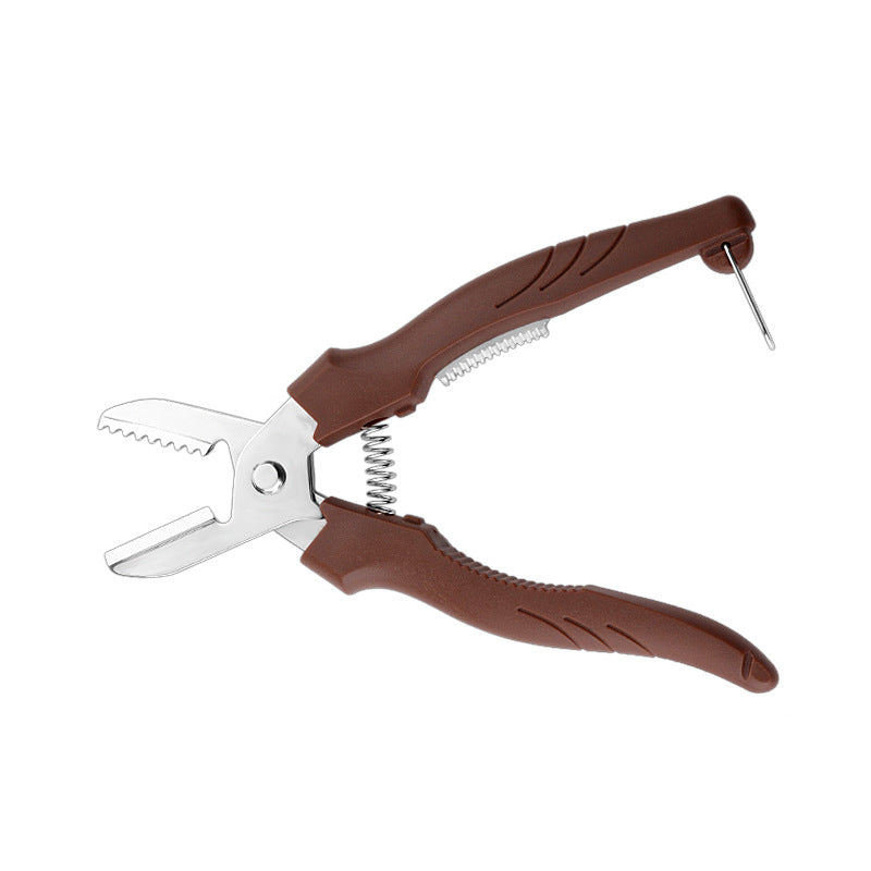 Stainless Steel Chestnut Peeling Tool with Ergonomic Handle