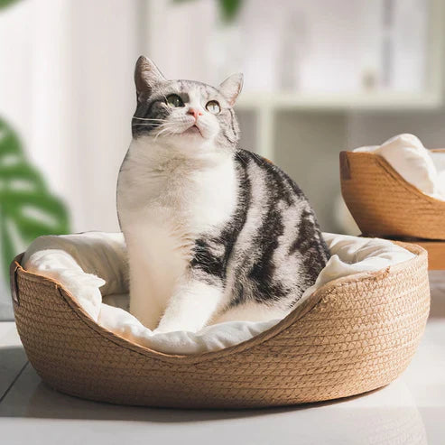 Eco-Friendly Bamboo Pet Bed for Dogs and Cats