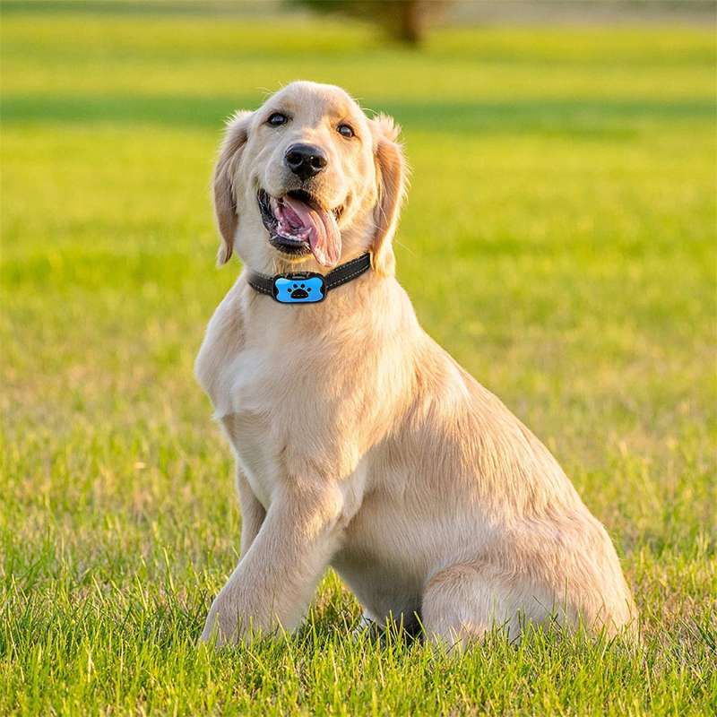 Gentle Anti-Bark Collar with Vibration and Sound