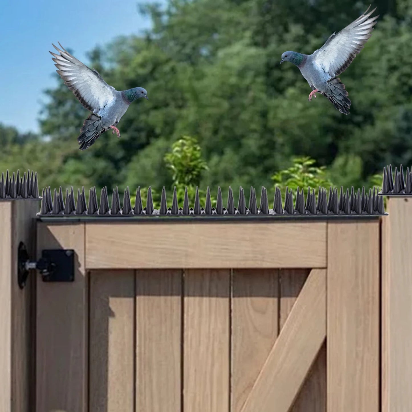 Plastic Bird Deterrent Spikes for Roofs and Balconies