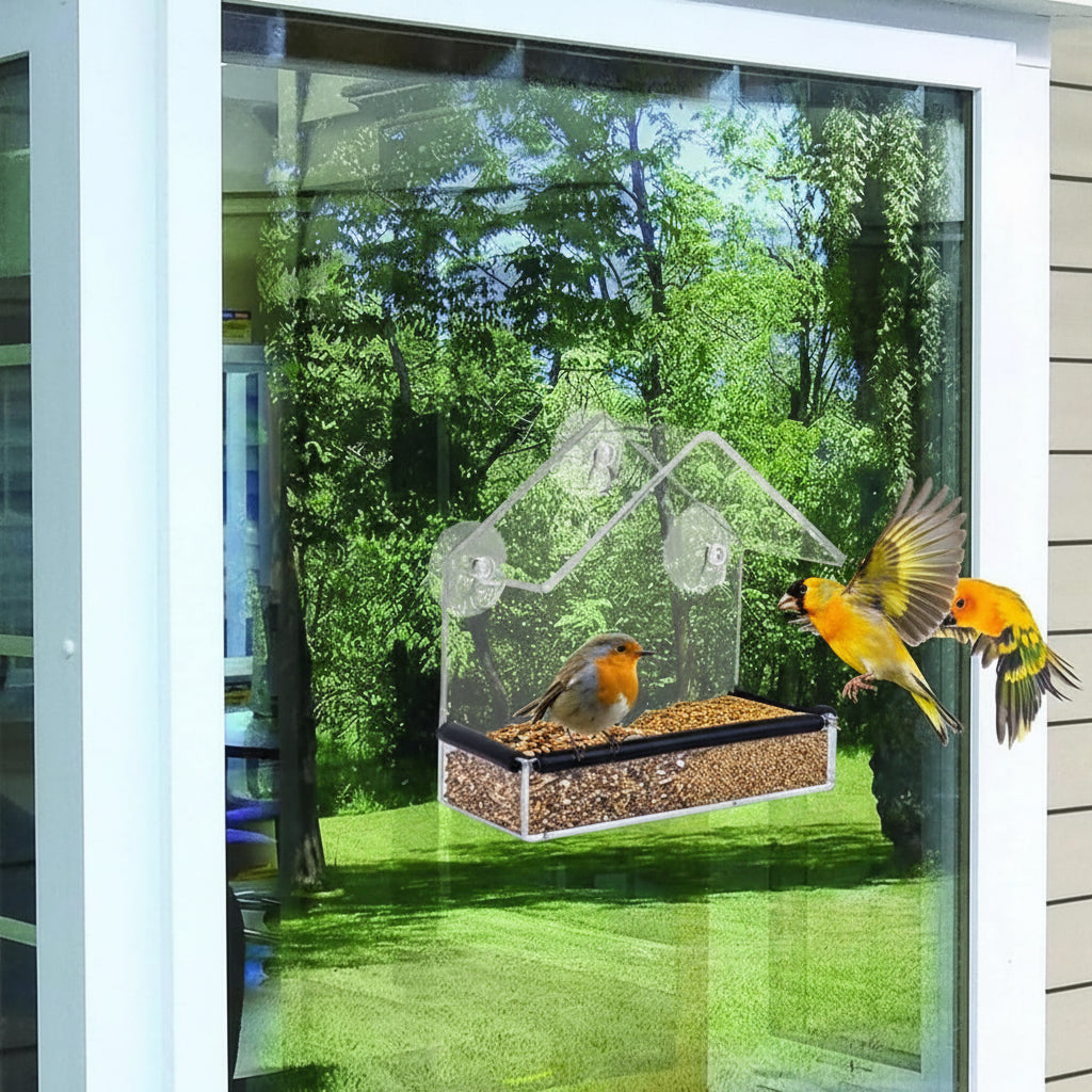 Transparent Acrylic Window Bird Feeder with Strong Suction Cups