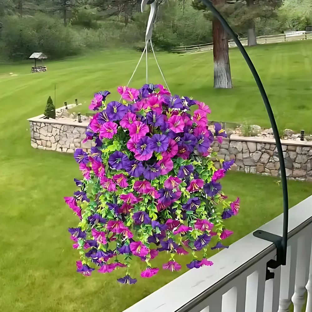 UV-Resistant Morning Glory Vines for Balcony and Garden