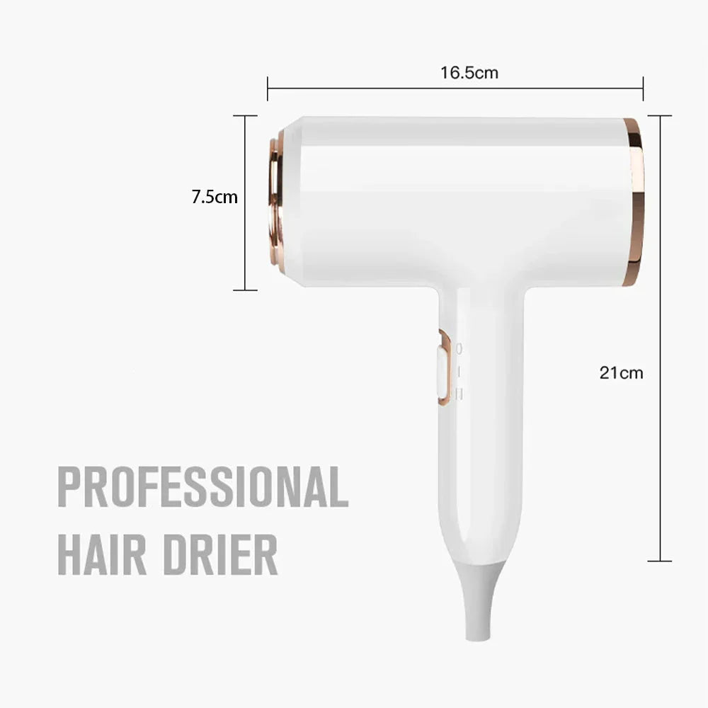 2400W Ionic Hair Dryer for Shiny, Frizz-Free Hair